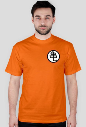 Dragon Ball - MASTER ROSHI KANJI