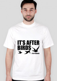 It's After Birds
