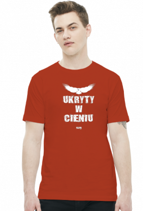 Assassin's Creed Ukryty w cieniu Koszulka męska 2