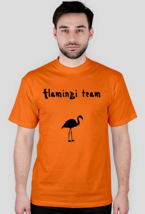 Flamingi team męska koszulka