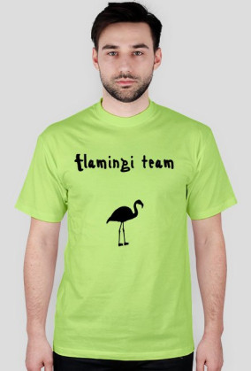 Flamingi team męska koszulka