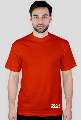 T-Shirt - #Skrzydłowy (TE)