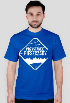 przystanek bieszczady