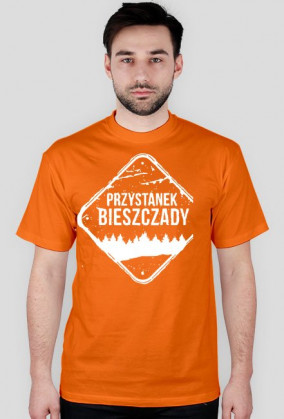 przystanek bieszczady