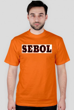 sebol v3