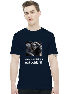 Koszulka ZAPOMNIAŁEŚ SCHŁDZIĆ różne kolory
