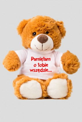 Misiek dla dziewczyny od chłopaka