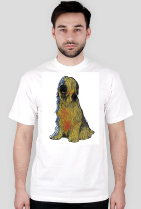 Briard