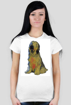 Briard