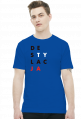 Konstytucja Destylacja koszulka t-shirt