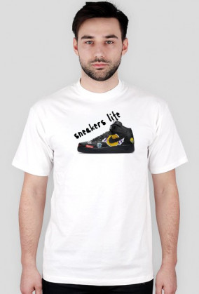 Tee Supreme x NBA Shoes