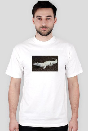 Aligator