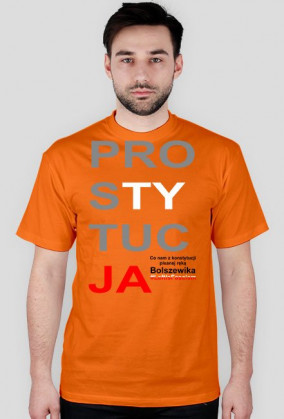 Konstytucja Koszulka Parodia - Prostytucja
