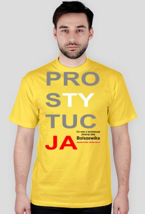 Konstytucja Koszulka Parodia - Prostytucja