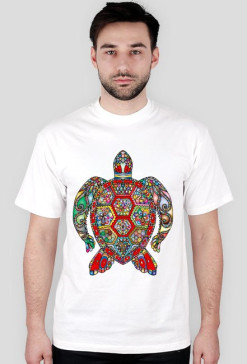 koszulka/ t-shirt