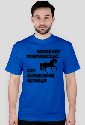 Konie łby pospuszczać, czy konie mnie słyszą?!