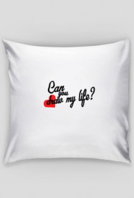 Draw my life Poduszka