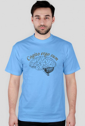 cogito ergo sum