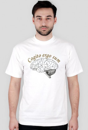 cogito ergo sum