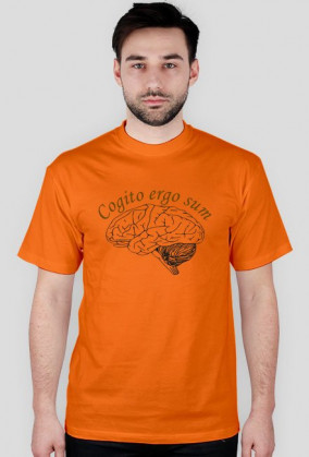 cogito ergo sum