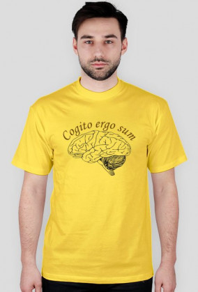 cogito ergo sum