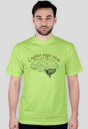 cogito ergo sum