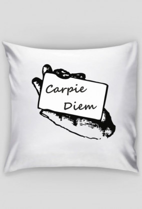 poduszka chwytaj dzień