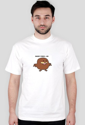 angry pirds