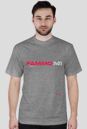 FAMMO'741/NASA  sign logo