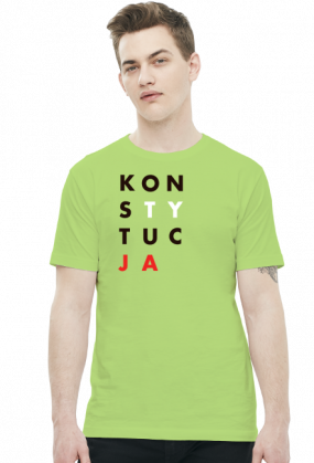 Konstytucja koszulka szara (różne kolory)