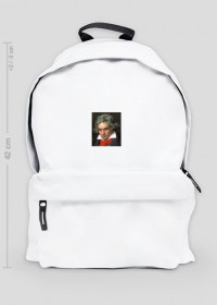 Beethoven schoolbag