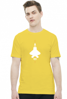 Lockheed F-22 Raptor lve-011