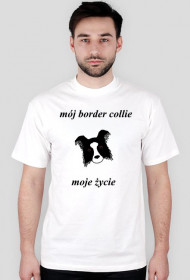BORDER COLLIE