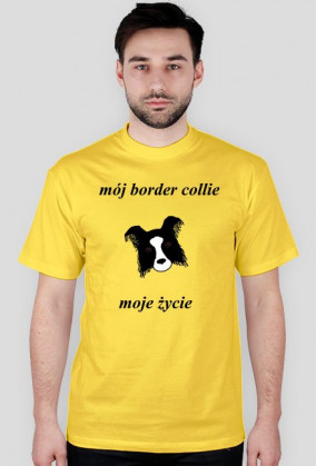 BORDER COLLIE