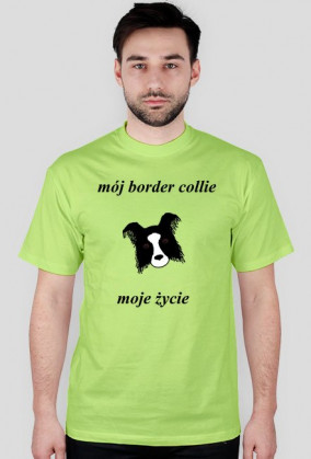 BORDER COLLIE