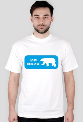 Ice bear