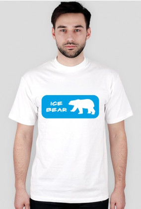 Ice bear