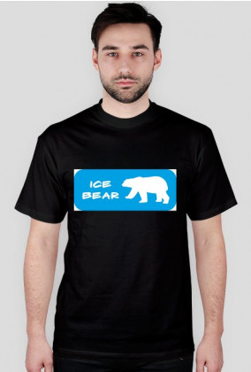 Ice bear