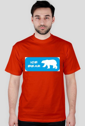 Ice bear