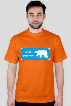 Ice bear