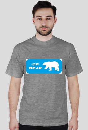 Ice bear