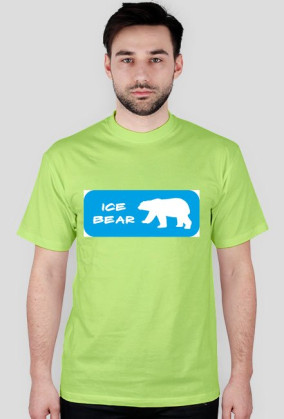 Ice bear
