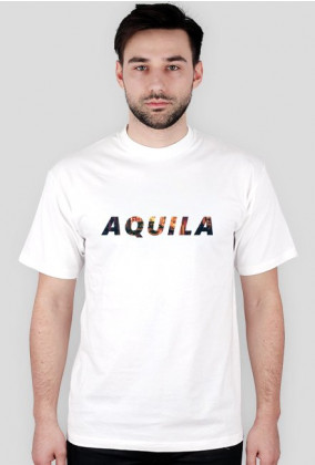 Aquila white logo