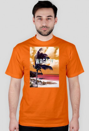 To co wagary ?