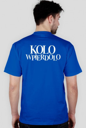 Koszulka - Koluniu (white logo multi)