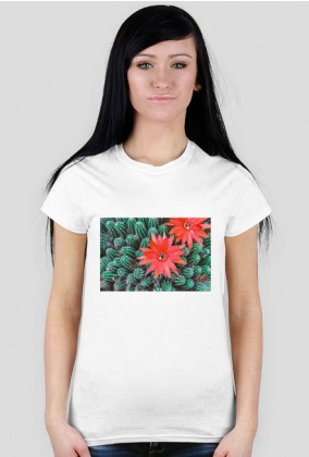 Kaktus kwiat - koszulka damska biała
