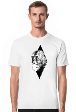Ape