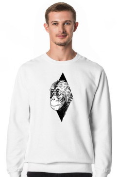 Ape