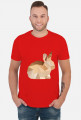 T-shirt - Królik
