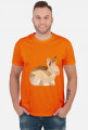 T-shirt - Królik
